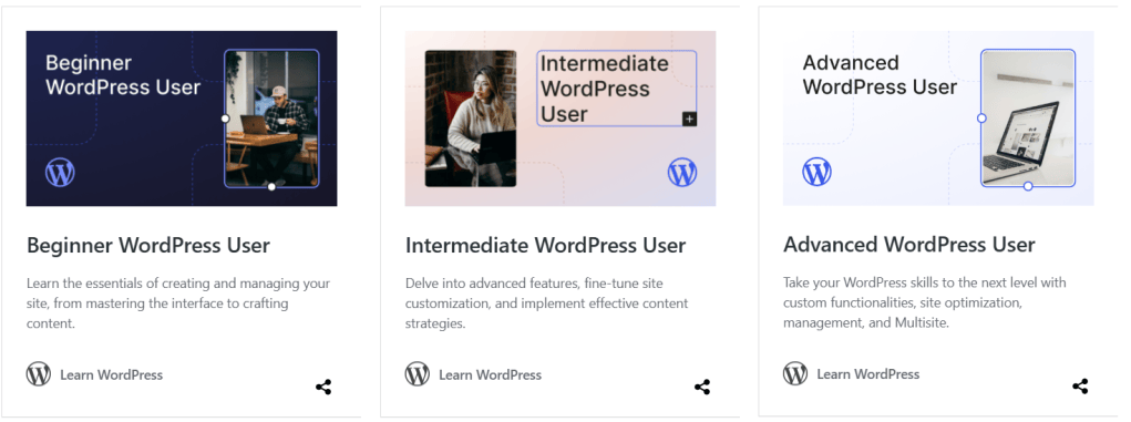 Graphic for Beginner WordPress User course, featuring a man working on a laptop.